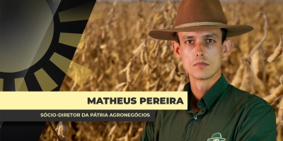 Prêmios e alta forte do dólar estão no foco do produtor brasileiro de soja, enquanto nova safra se desenvolve