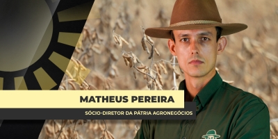 Safra 25/26 de soja do Brasil já sofre redução do teto produtivo por clima irregular, afirma Pátria