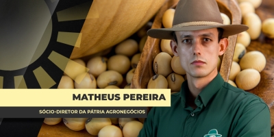 Câmbio e prêmios limitam valorização da soja no Brasil e custo do carrego do grão aperta ainda mais as margens