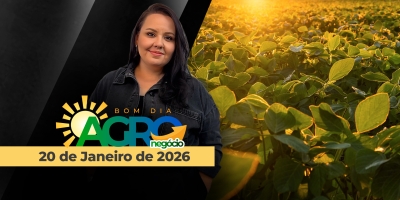 BOM DIA AGRONEGÓCIO