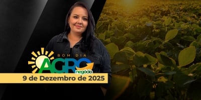 Estragos causados pelo ciclone, expectativas para o USDA e a demanda no mercado do milho