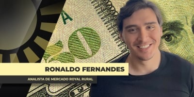 Últimos movimentos políticos do Brasil refletem forte nos mercados e impactos no agro vão aparecer