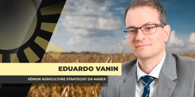 Não é ano de segurar a soja; produtor pode amargar preços mais baixos no Brasil