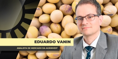 Formação de preços melhores da soja no Brasil vão depender também do ritmo das compras da China