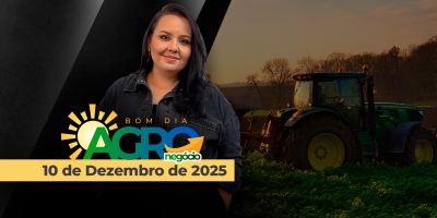 Marco Temporal, Dosimetria, política tensionada no Brasil, economia e os mercados agropecuários