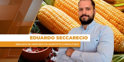 Milho teve semana de desvalorizações após números do USDA que surpreenderam o mercado