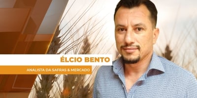 Grande oferta de trigo no mundo eleva estoques e segue pressionando preços