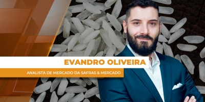 Preços do arroz continuam baixos e deixam setor em risco