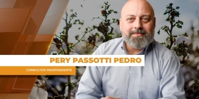 Com rentabilidade limitada, mercado prevê área menor para a safra 25/26 de algodão