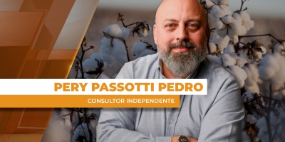 Outubro se encerra com preços baixos do algodão; em NY, futuros seguem testandos os 65 cents/lb