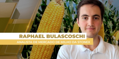 Mercado do milho brasileiro atento ao clima e ao câmbio nessa reta final de 2025