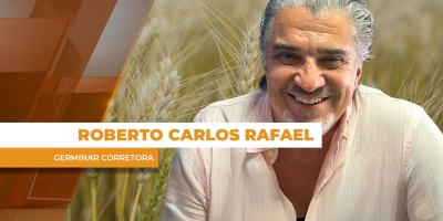 Estoques altos e nova oferta estão forçando quedas nos preços do milho no Brasil