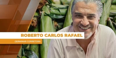 Mercado do milho com poucas movimentações já entrando em ritmo de final de ano