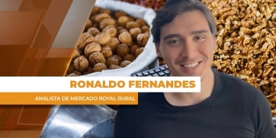 Soja tem semana marcada pela colheita no BR e biocombustíveis nos EUA; milho de olho no Irã