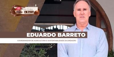 Cacau deixa de ser experimental e toma novo rumo produtivo no Sergipe