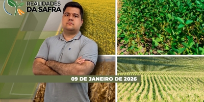 Rio Grande do Sul registra chuvas que ajudam a soja e projeta safra melhor do que a dos últimos anos