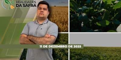 Soja sofre com o clima em Doutor Camargo/PR e Sealba vai finalizando colheita do milho