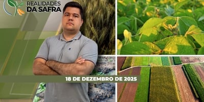 Soja segue se desenvolvendo bem no Mato Grosso do Sul e volta das chuvas traz alívio para Primavera do Leste/MT