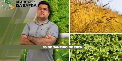 Colheita da soja 2025/26 começa pontualmente em Campos de Júlio/MT