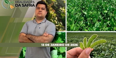 Lavouras de soja se desenvolvem bem em Novo Acordo/TO, Torres/RS e Paragominas/PA