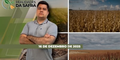 Chuvas voltaram para o desenvolvimento da soja em Júlio de Castilhos/RS e no Tocantins