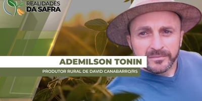 Soja demora a emergir após 120 mm de chuva em David Canabarro/RS