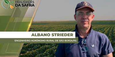 Chuvas irregulares dificultam plantio da soja em São Borja/RS