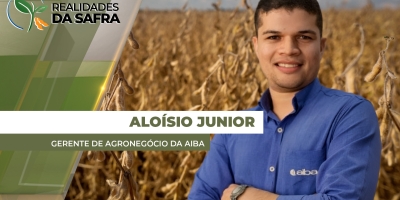 Bahia já colheu 1,7% da safra de soja, mas chuvas dificultam avanço dos trabalhos