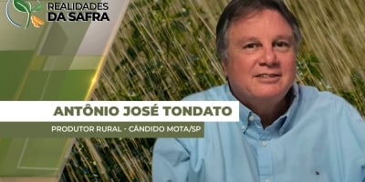 Cândido Mota/SP volta a receber chuvas que ajudam o desenvolvimento da soja