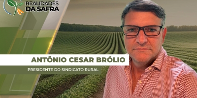 Lavouras de soja estão com boas condições de desenvolvimento em Campo Novo do Parecis/MT