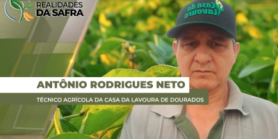 Primeiras áreas de soja colhidas em Laguna Carapã/MS chegam em até 80 sc/ha