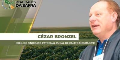 Desenvolvimento da soja é positivo em Palmas/TO, porém área do milho deve encolher na próxima safra