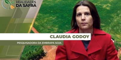 Região Sul lidera casos de ferrugem asiática e produtores precisam redobrar atenção nessa reta final de ciclo