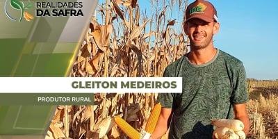 Sealba fecha safra de milho irregular em termos de qualidade dos grãos