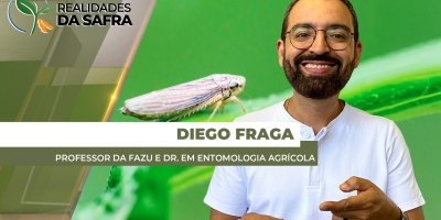 Observatório da Cigarrinha-do-Milho será lançado em Uberaba/MG
