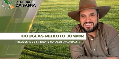 Soja entra na reta final de desenvolvimento em Amambai/MS com projeção de mais produtividade do que anos anteriores