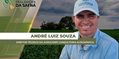 Soja de Araguari/MG enfrenta dificuldades para se desenvolver diante da irregularidade do clima