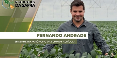 Tocantins e Bahia tiveram bom desenvolvimento da soja após início complicado com falta de chuvas