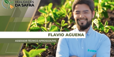 Mato Grosso do Sul começa colheita da soja esperando boas produtividades