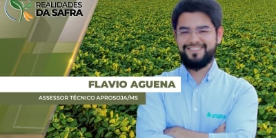 Mato Grosso do Sul chega a 100% do plantio de soja e apresenta bom desenvolvimento das lavouras