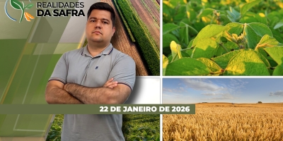 Colheita da soja avança com altas produtividades na Bahia e em Laguna Carapã/MS