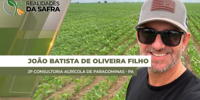 Plantio da soja chega em 80% na região de Paragominas/PA