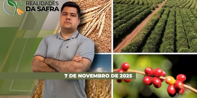 Paraná segue levantando perdas após temporal enquanto plantio está atrasado em Sorriso/MT