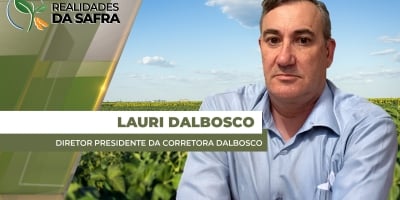 Após atraso de 10 dias no plantio, lavouras de soja se desenvolvem bem em Chapadão do Sul/MS