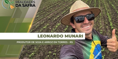 Torres/RS espera boas produtividades para a soja que está se desenvolvendo no campo