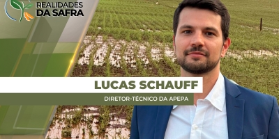 Temporal do Paraná afetou plantas de soja, mas também causou erosão e perda de palhada