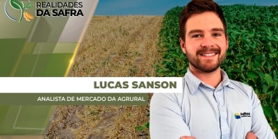 Condições de clima melhoraram para o desenvolvimento da soja no Brasil