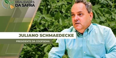 Após início de safra excelente, Maracaju/MS passa por 15 dias de calor que afeta a soja