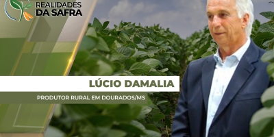 Lavouras de soja receberam chuvas e se desenvolvem bem na região de Dourados/MS