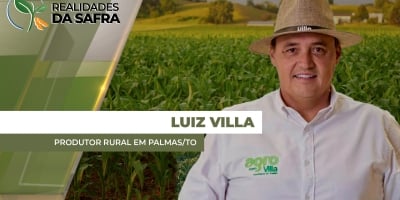 Desenvolvimento da soja é positivo em Palmas/TO, porém área do milho deve encolher na próxima safra